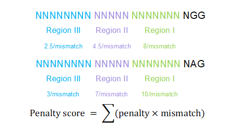 scoring metrics